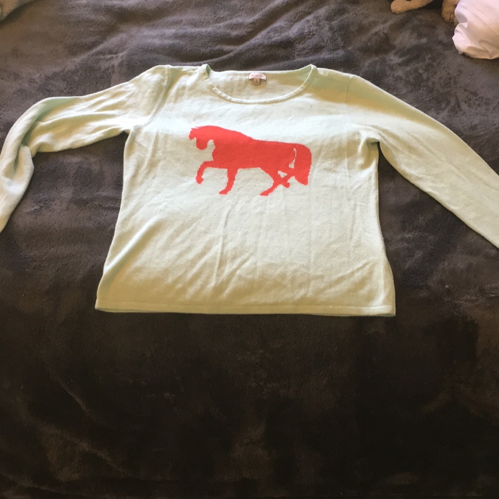Super cute! Teal and red horse sweater!